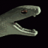 EV1L