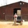 Barn Boy