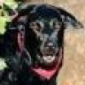 bdsnooks