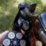 model17
