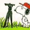 surveyor_nm