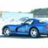 viper