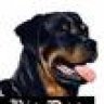 BIG DOG