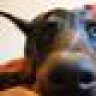bassoneer