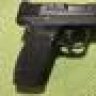 Dyerbill
