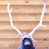 arkdweller22