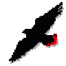 redhawk444