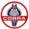 cobrafast1