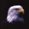 Eagle157