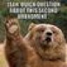old bear