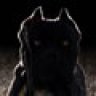 AboutTimeCaneCorso