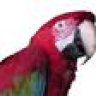 peterinwa