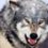 BigDogRalph