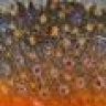 BG380LEO
