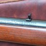 444 Magnum