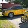 s-w bug