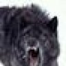 DireWolf