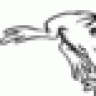 Froggy044