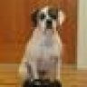 Boxerglocker