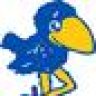 Jayhawkhuntclub