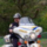 HDMotorcop
