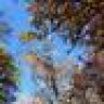 spirit4earth