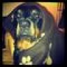 Bugsy08