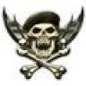 airborne infantry vet