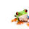 pcfrog