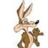 1coyote