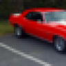 Dan Camaro