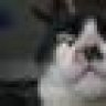 D4n