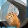 Hamster65