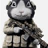 MaconGuns