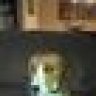 Mortard