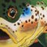 Trout