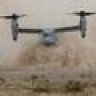 osprey_chief