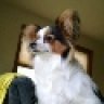 Redbert31