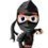 Ninja warrior