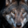 Wolfanther