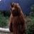 GRIZZLYBEAR