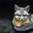 Grayfox