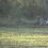 range_rider13