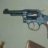 Göring's S&W