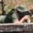 CQB27