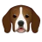 EricandSuebee