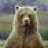 BEARMAN
