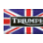 britbike1