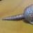 silver armadillo