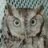 GreyOwl